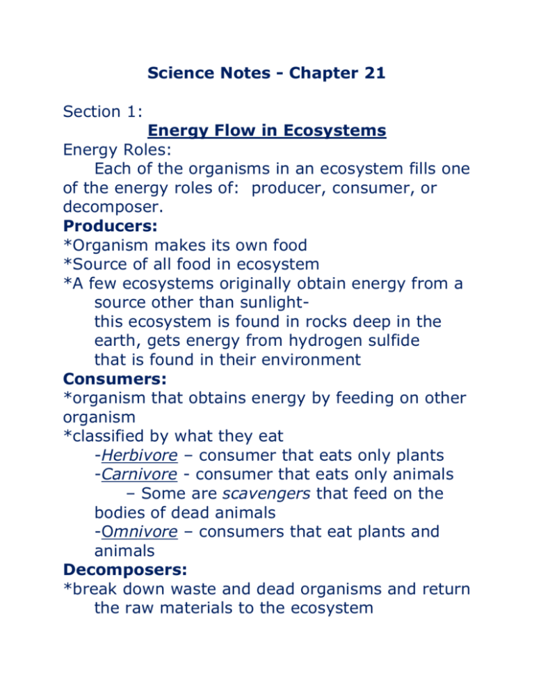 Energy Flow In Ecosystems