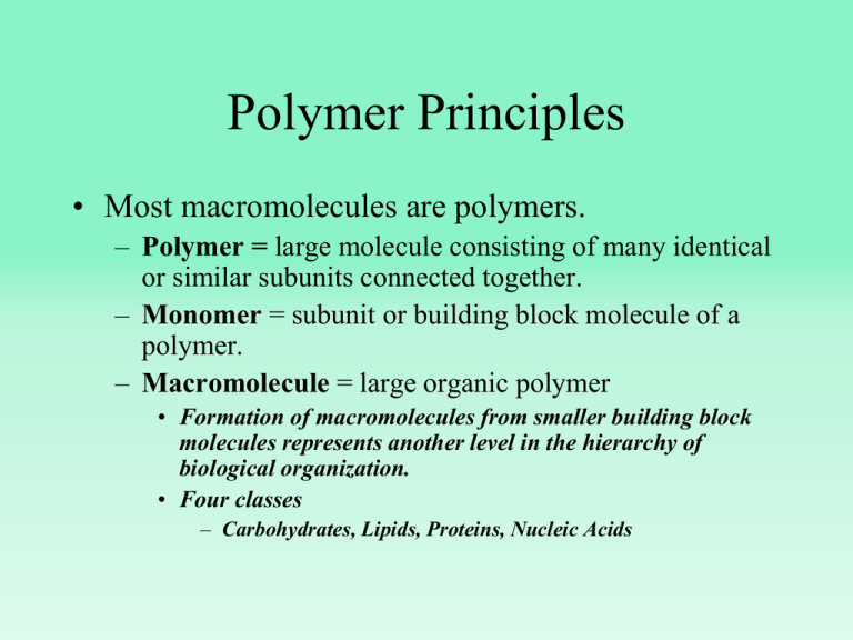 Unit Chapter Macromolecules