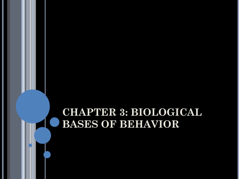 CHAPTER 3 BIOLOGICAL BASES OF BEHAVIOR