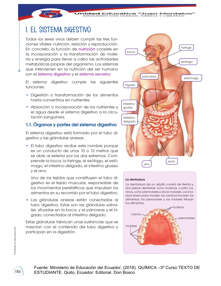 Sistemas Del Cuerpo Humano