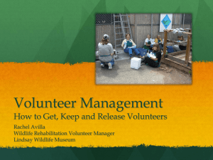 Volunteer Management