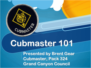 Cubmaster 101