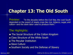 The Old South: Society, Slavery, and Economy Before the Civil War