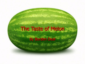 "The Taste of Melon" Analysis: Characters, Themes, & Setting