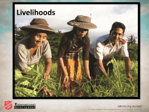 Livelihood presentation overview - PPT
