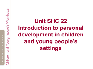 Standards that influence the way a practitioner`s role is