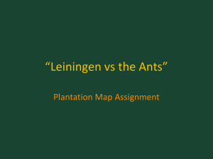 Leiningen vs Ants: Plantation Map Assignment