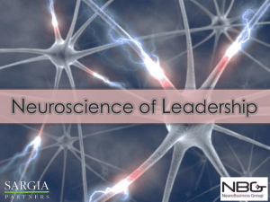SARGIA-Neuroscience-of-Leadership-Capability