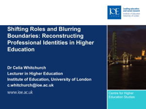 New Learning Professionals: Shifting roles and blurring