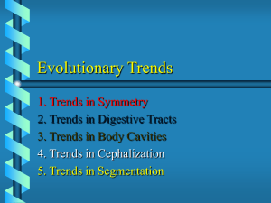 Evolutionary Trends in Animals: Symmetry, Digestion, Cavities