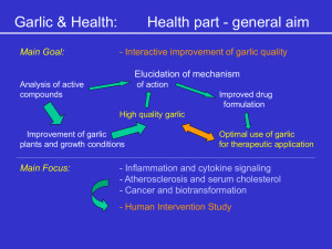 Inhibition of Matrix-Metallo-proteinases by Garlic Compounds