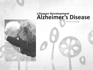 The Brain and Alzheimer`s Disease