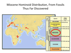 Miocene Hominoid Evolution & Fossil Distribution
