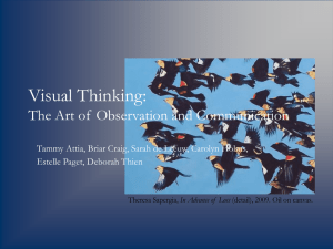 Visual Thinking: The Art of Observation and Communication