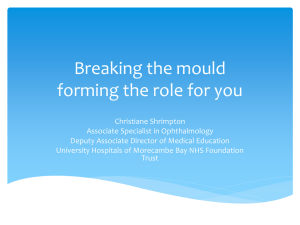 Breaking the mould – forming the role for you