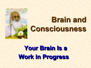 2. Brain Development: How Nature and Nurture Create