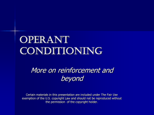 Chapter 5 Powerpoint 2