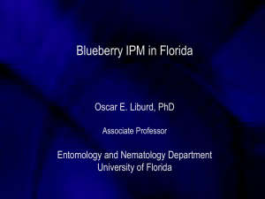 Conventional Insecticide - university of florida entomology and