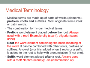 Medical Terminology: Prefixes, Roots, Suffixes Explained