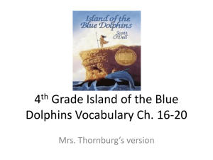 Island of the Blue Dolphins Vocabulary Ch. 16-20