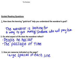 The Wanderer & Seafarer Study Guide: Analysis & Questions