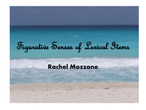 Figurative Senses of Lexical Items