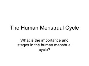 Human Menstrual Cycle: Stages & Hormones Explained