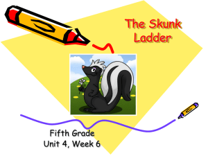 The Skunk Ladder: 5th Grade Vocabulary Lesson