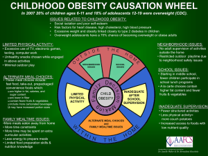 Childhood Obesity Causation Wheel: Factors & Issues