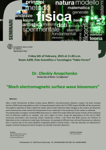 Locandina Seminario Anopchenko