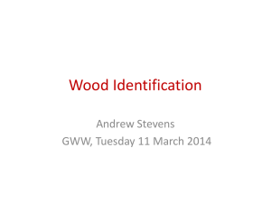 Wood Identification