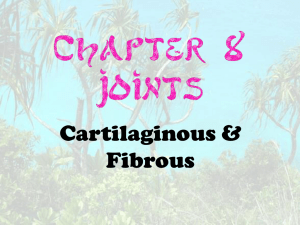 Joints - Cartilaginous & Fibrous