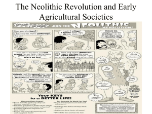 Neolithic Revolution & Early Agricultural Societies