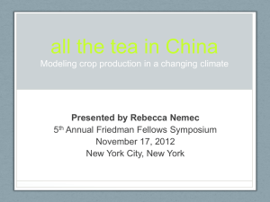 All the tea in China Modeling crop production in