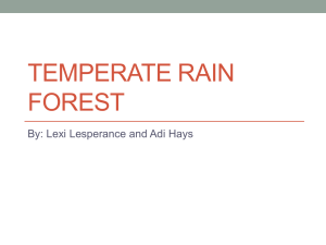 Temperate Rain Forest