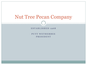 Marketing pecans through Nut Tree Pecan Company