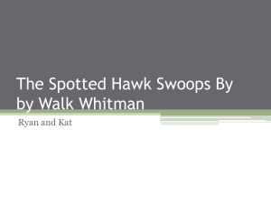 The Spotted Hawk Swoops By: Analysis & Summary