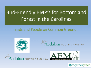 Bird-Friendly BMP`s for BottomlandForest in the