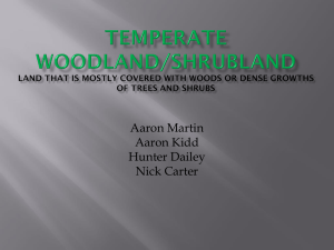 Temperate Woodland/Shrubland Biome Presentation