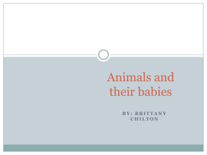 My powerpoint