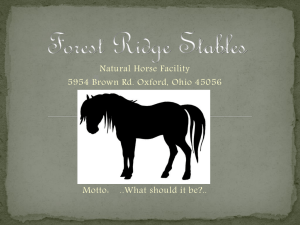 forestridgestables.com