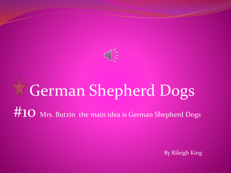 History Of The German Shepherd Dog