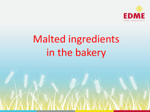 Malt in bakery & bagels