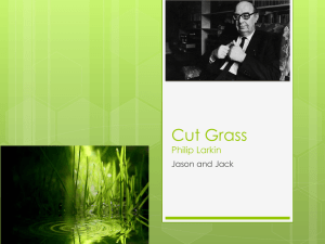 Cut Grass Presentation