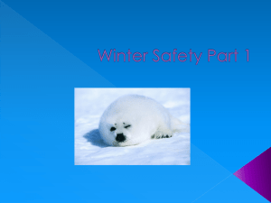 Winter Safety