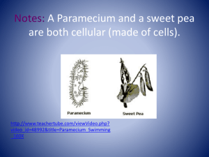 Science Notes: Paramecium, Mice Experiment, Problem Solving
