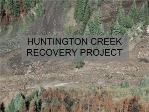 HUNTINGTON CREEK MITIGATION PROJECT