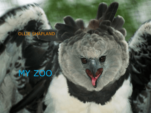 ZOO CHANGES