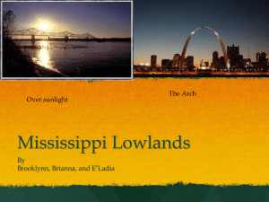 Mississippi Lowlands - Mrs.Nicodemus` Dream Team