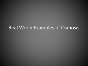 Osmosis Examples: Real-World Applications Explained